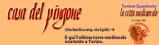 Casa del Pingone