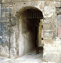 Casa del Senato - portone