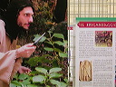 pannelli_e_foto1
