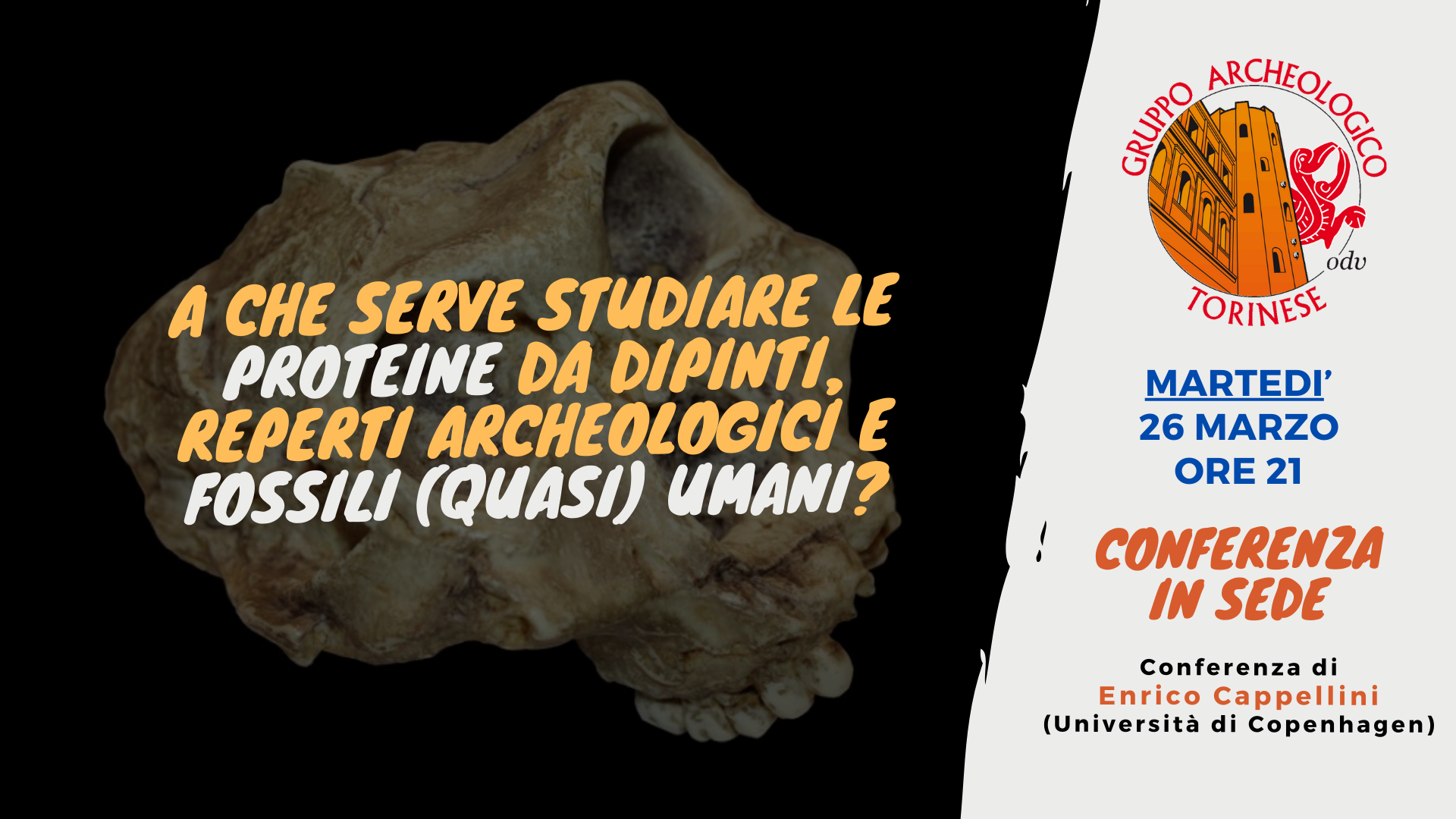 Scopri di più sull'articolo Conferenza in sede: A che serve studiare le proteine da dipinti, reperti archeologici e fossili (quasi) umani?